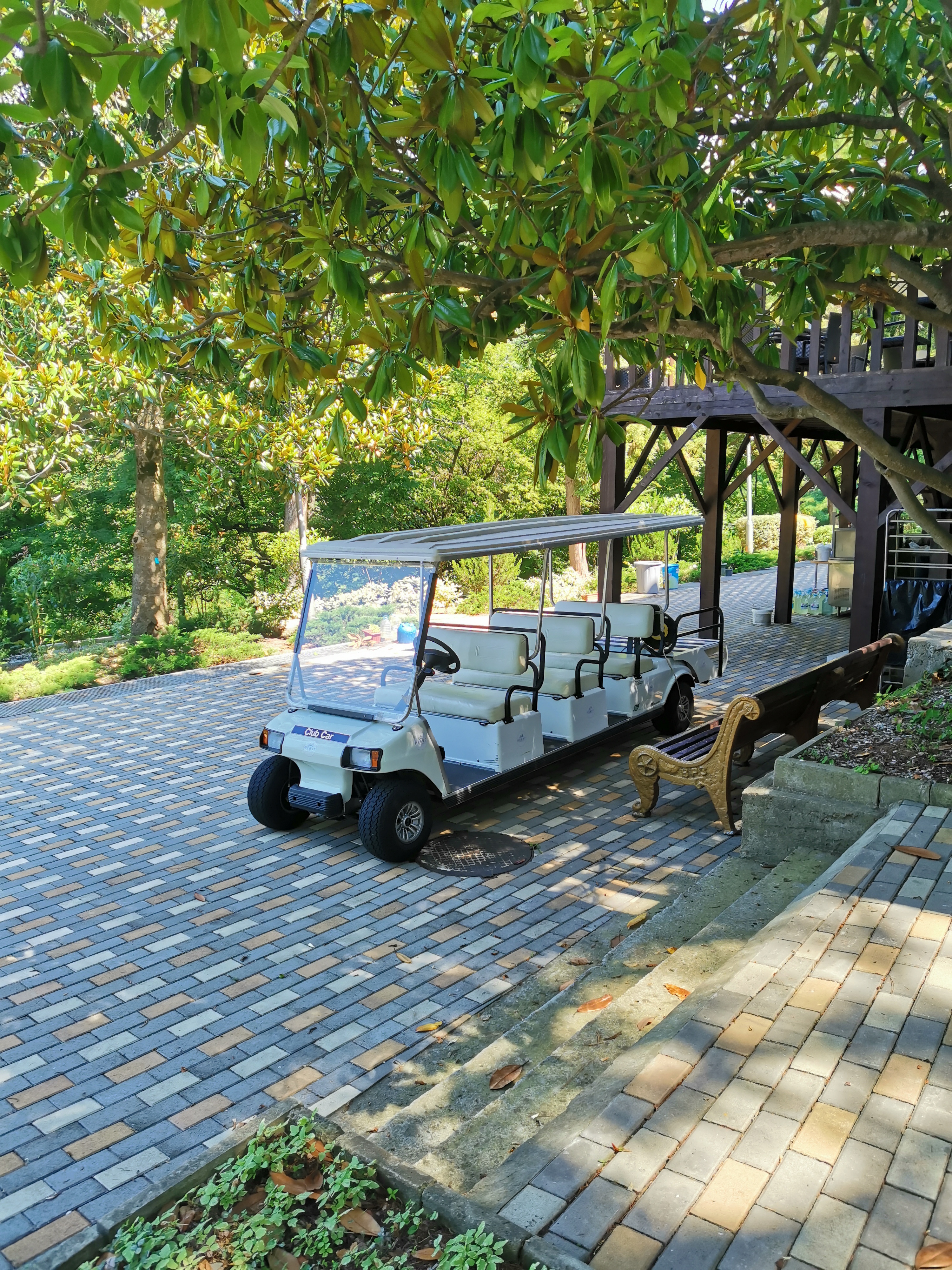 Фото Парк отель Небуг