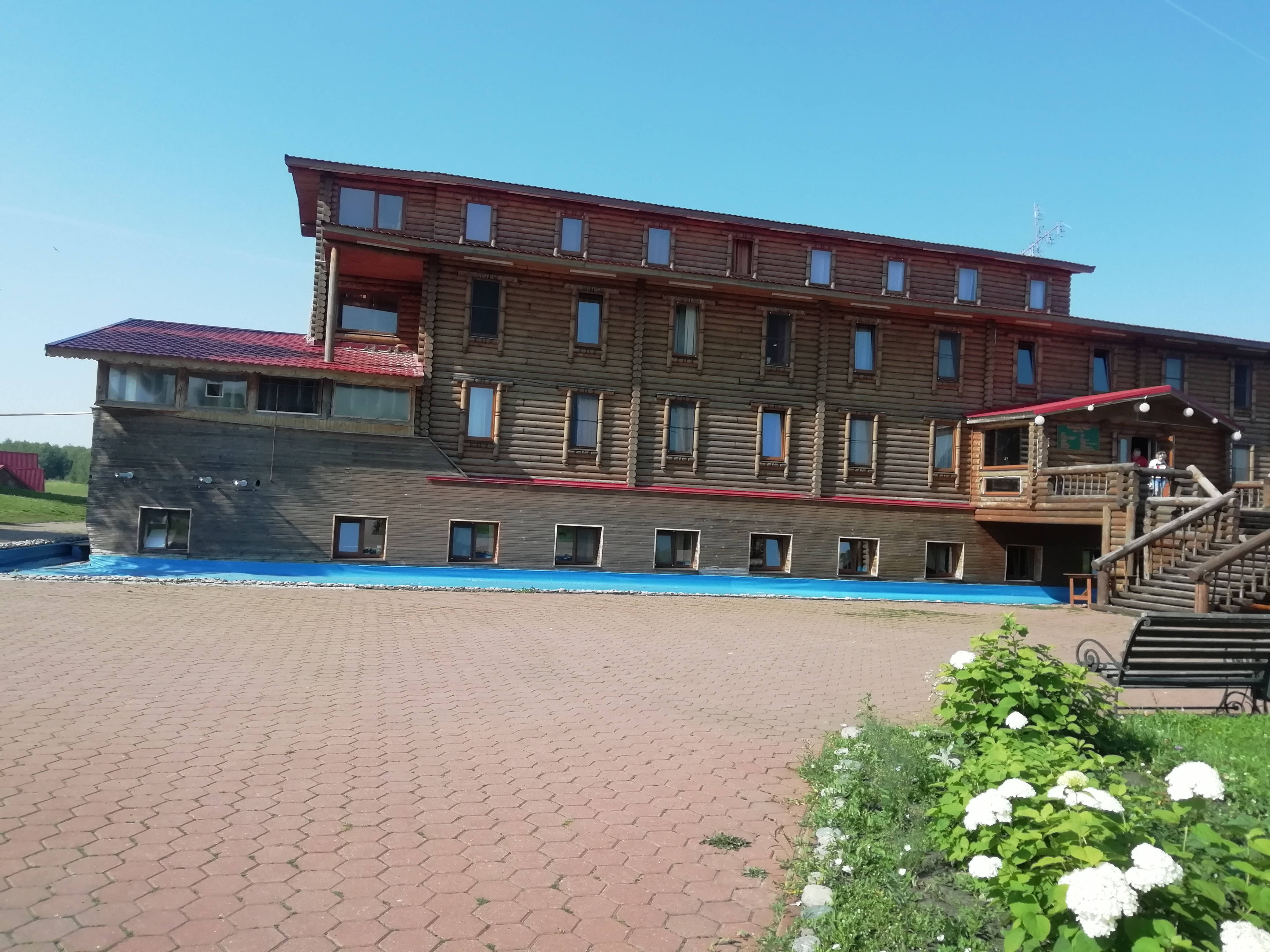 Фото Кленовая роща