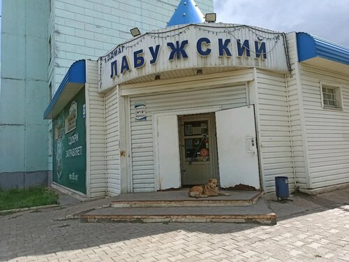 Магазин продуктов Лабужский, Оренбург, фото