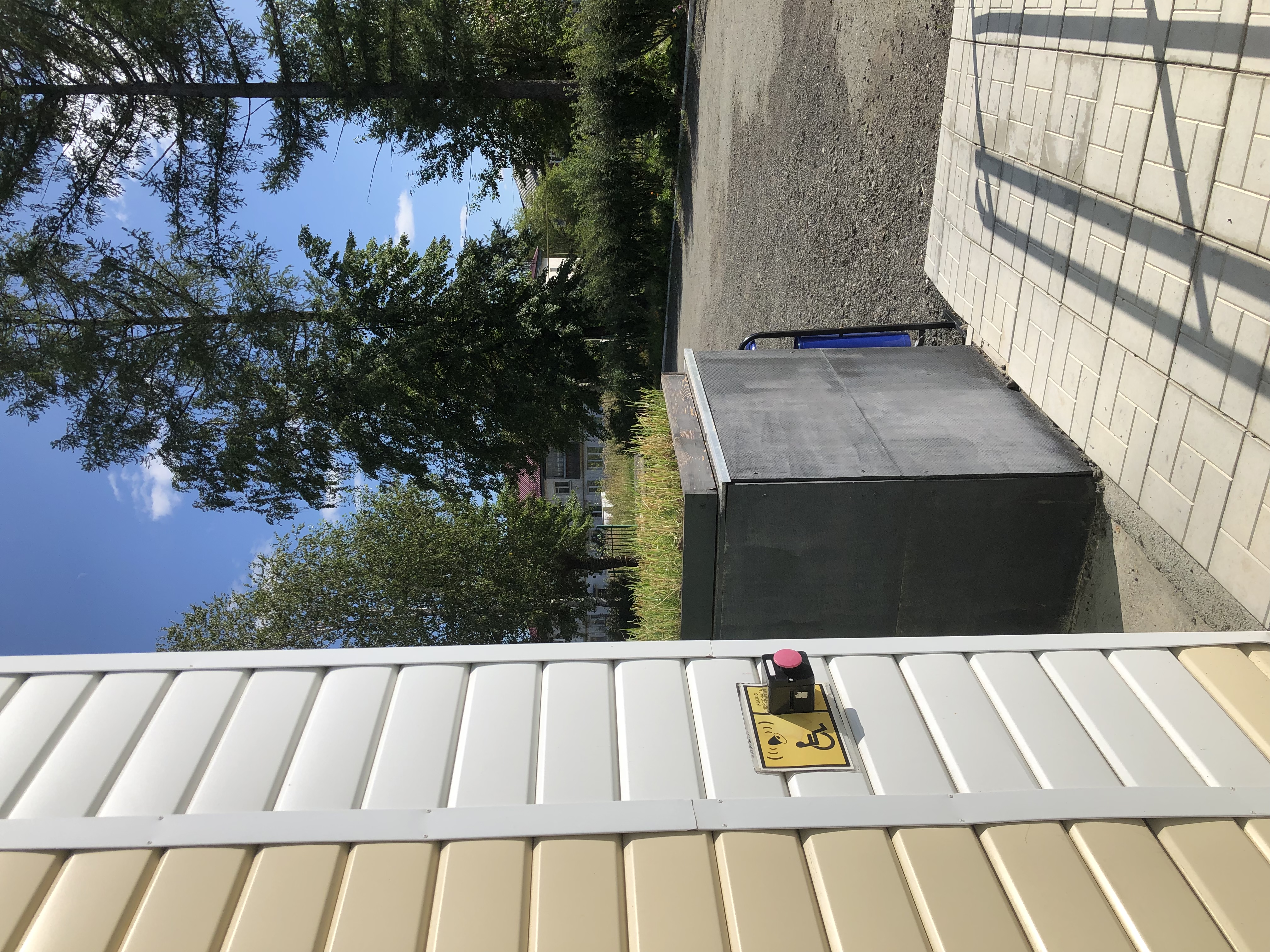 Фото Forest Hotel