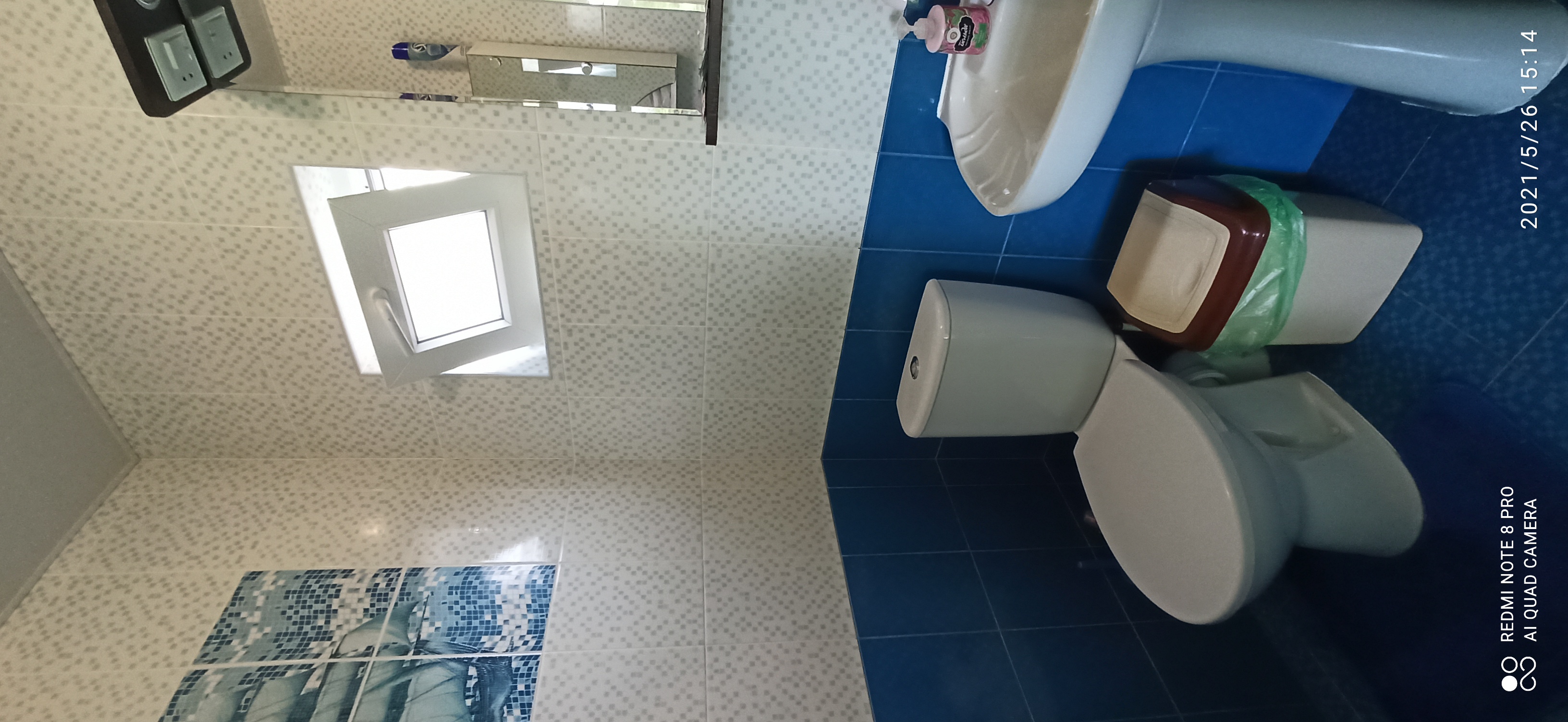 Фото Цветок папоротника