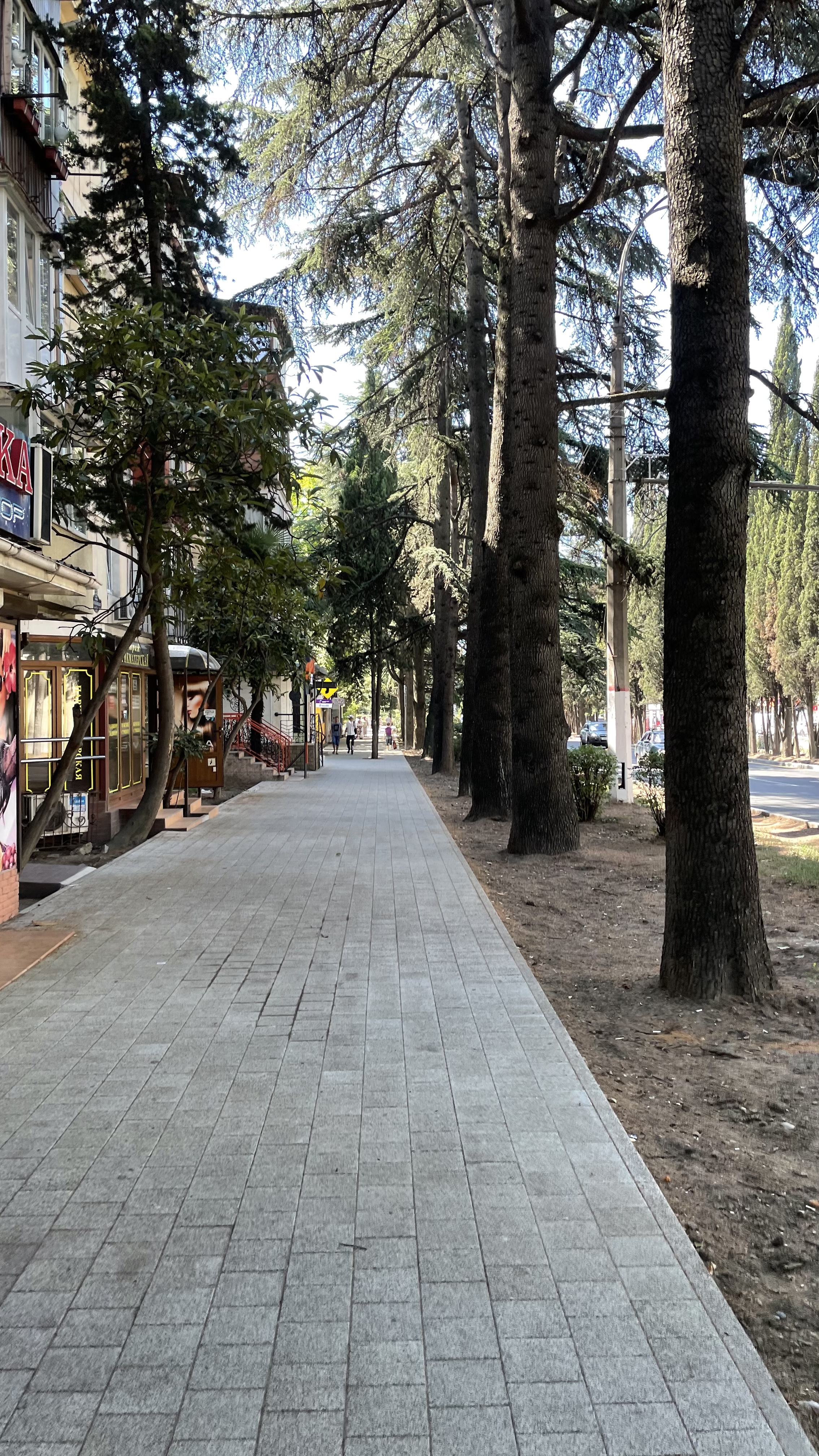 Фото Стрела