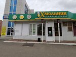 Khmel'nik (Magistralnaya Street, 19А) ، متجر بيع البيرة