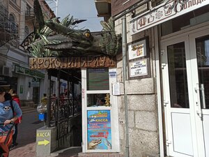 Магазин пива (ул. Игнатенко, 2), магазин пива в Ялте