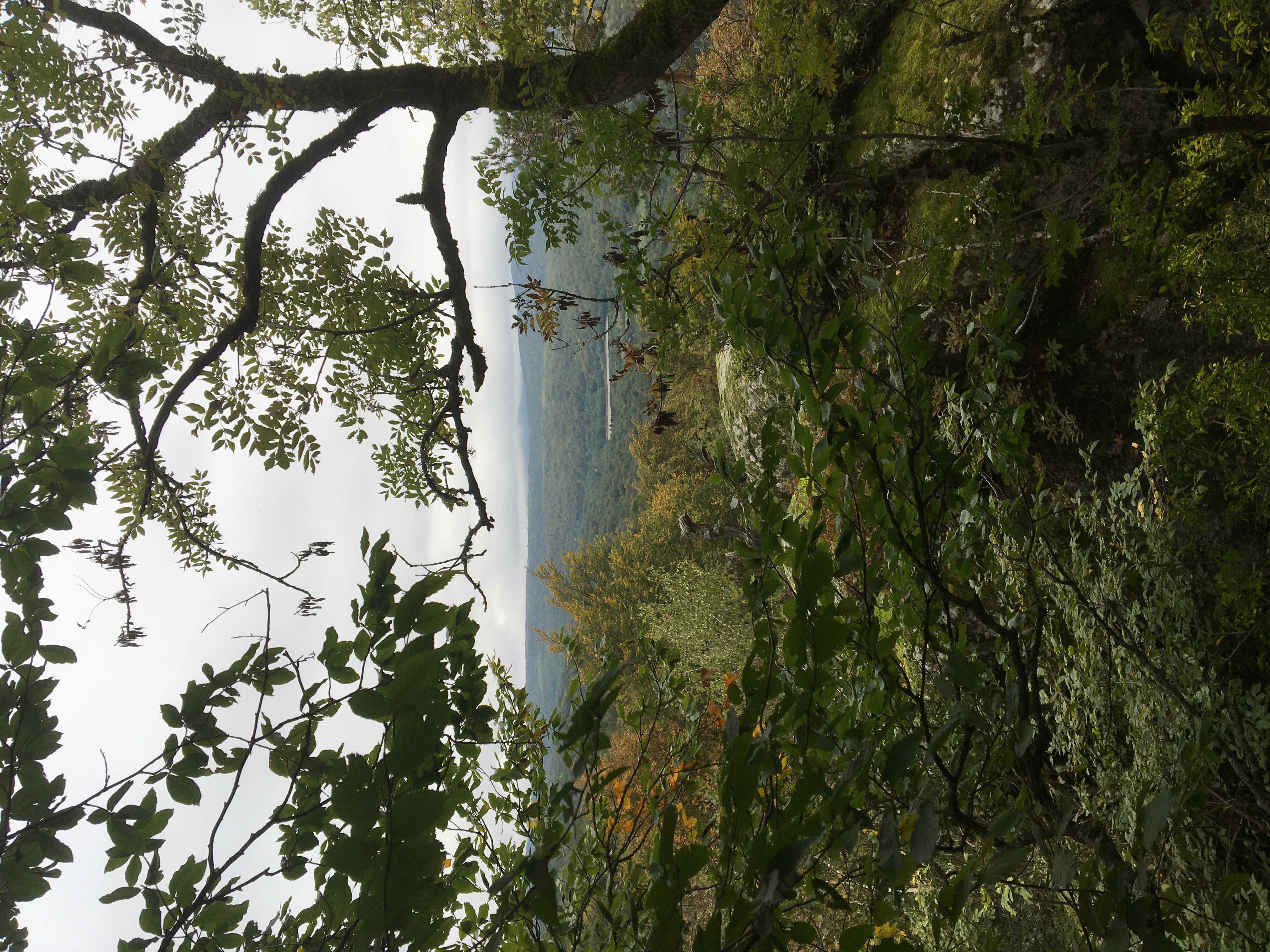 Фото Восход