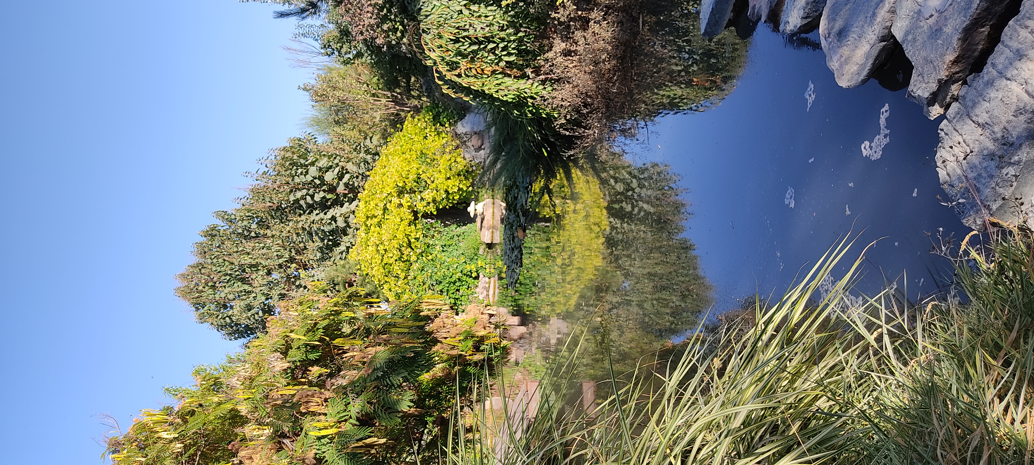 Фото Uzumfermer. uz