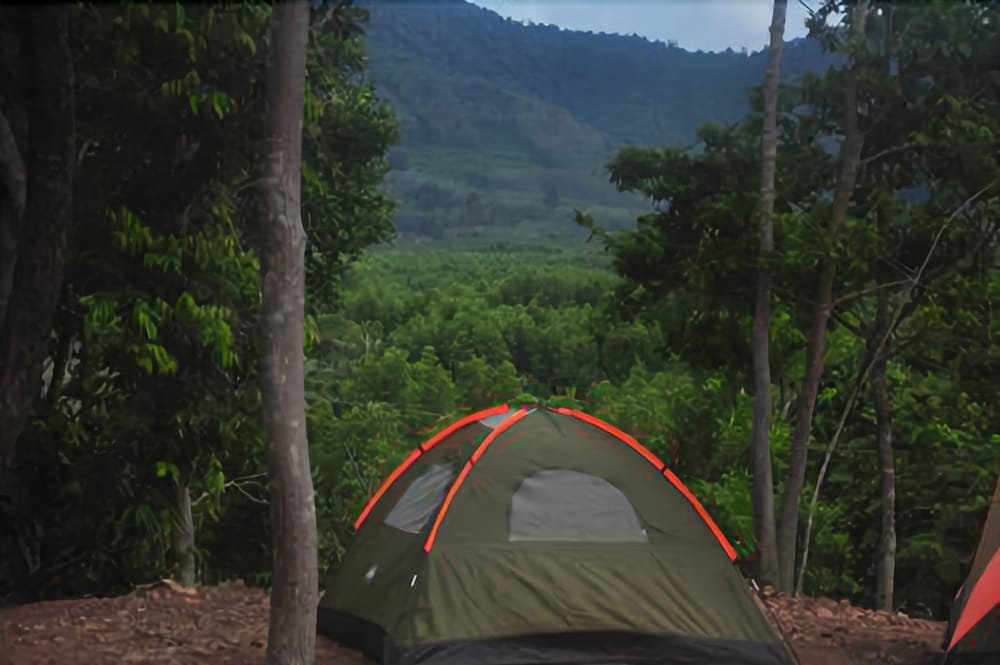 Фото 24 Camping & Bar