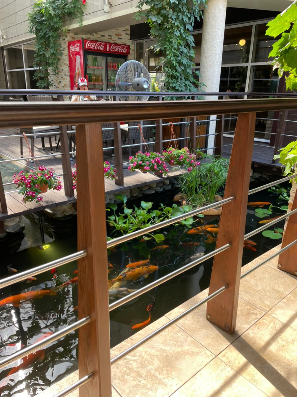 Фото Бельведер