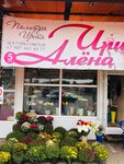Палитра цвета (Lenina Boulevard, 1с1) ، محل زهور