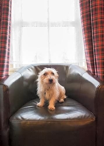 Фото Comfort Suites Lake Jackson Clute