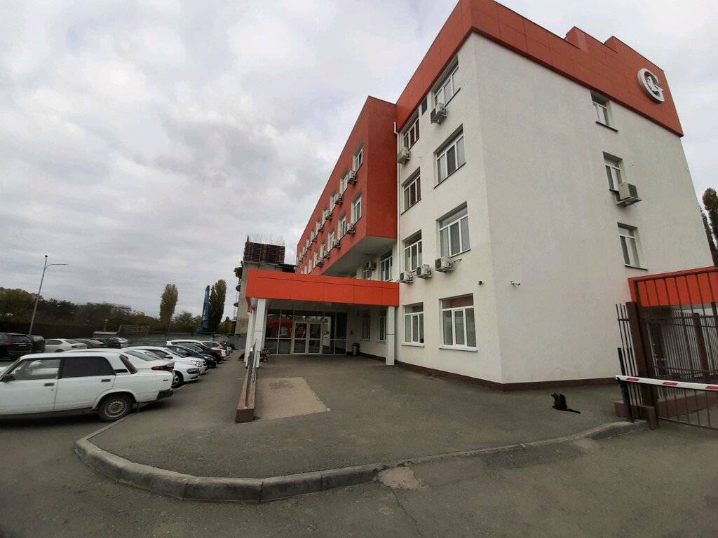 Дельфин полевая ул 16 фото
