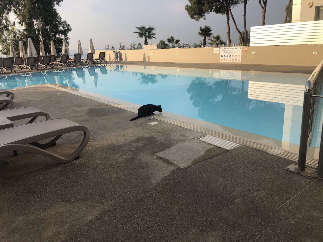 Фото Harmony Bay Hotel