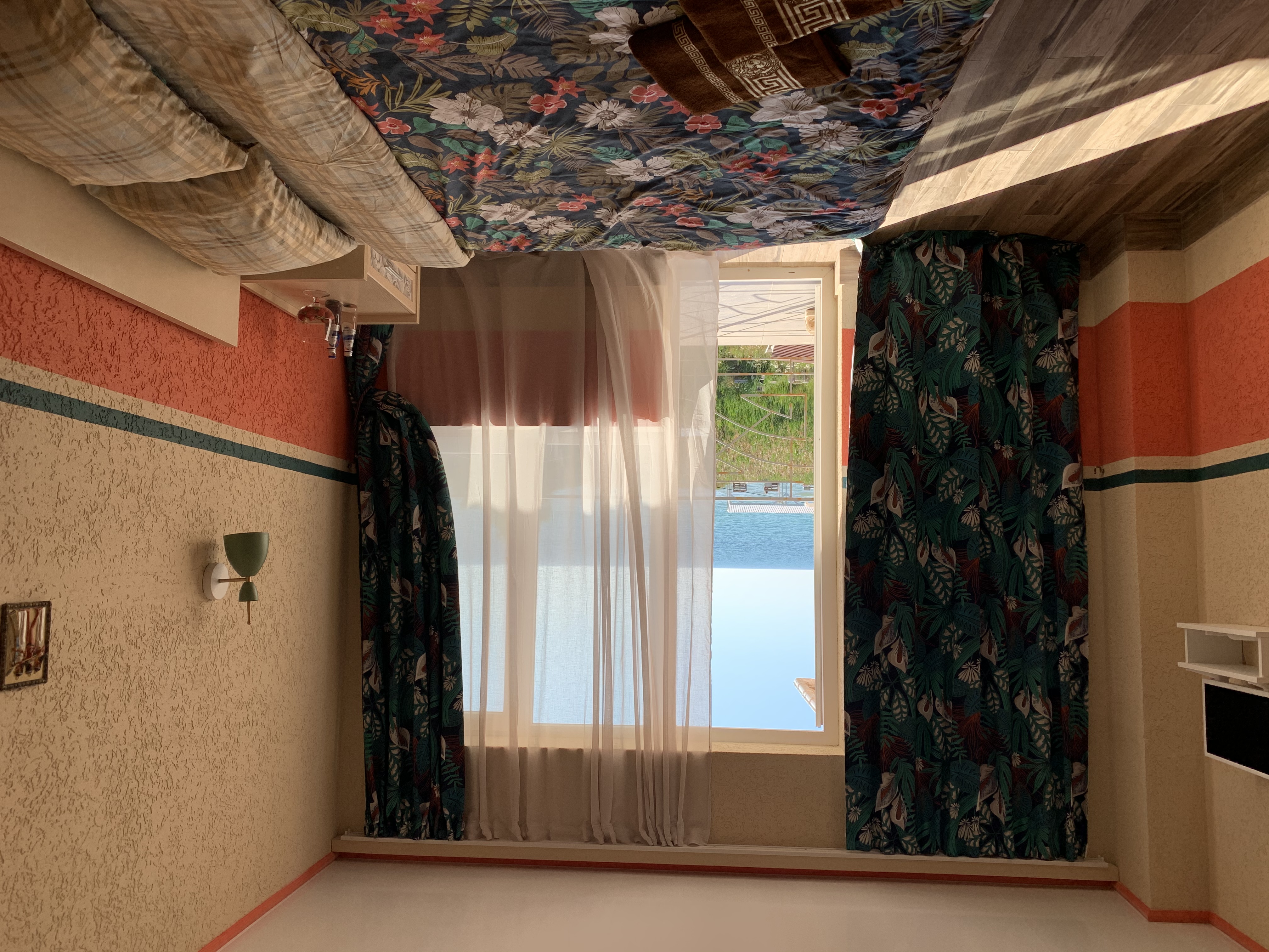 Фото Шафран