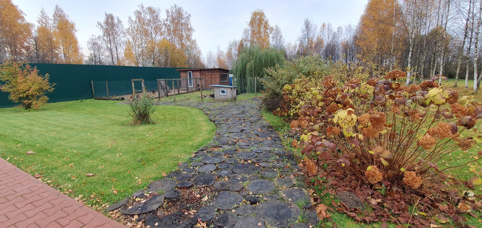 Фото Фроотель