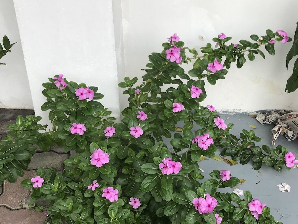 Фото Lai Ming Hotel Cosmoland