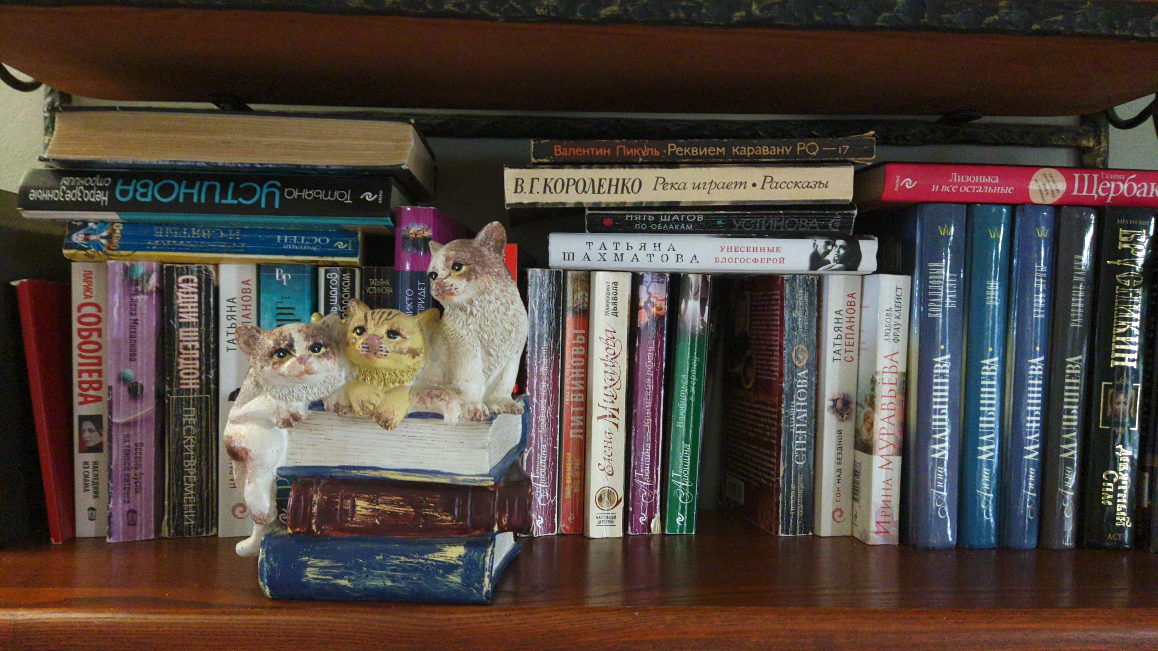 Фото Кошкин дом