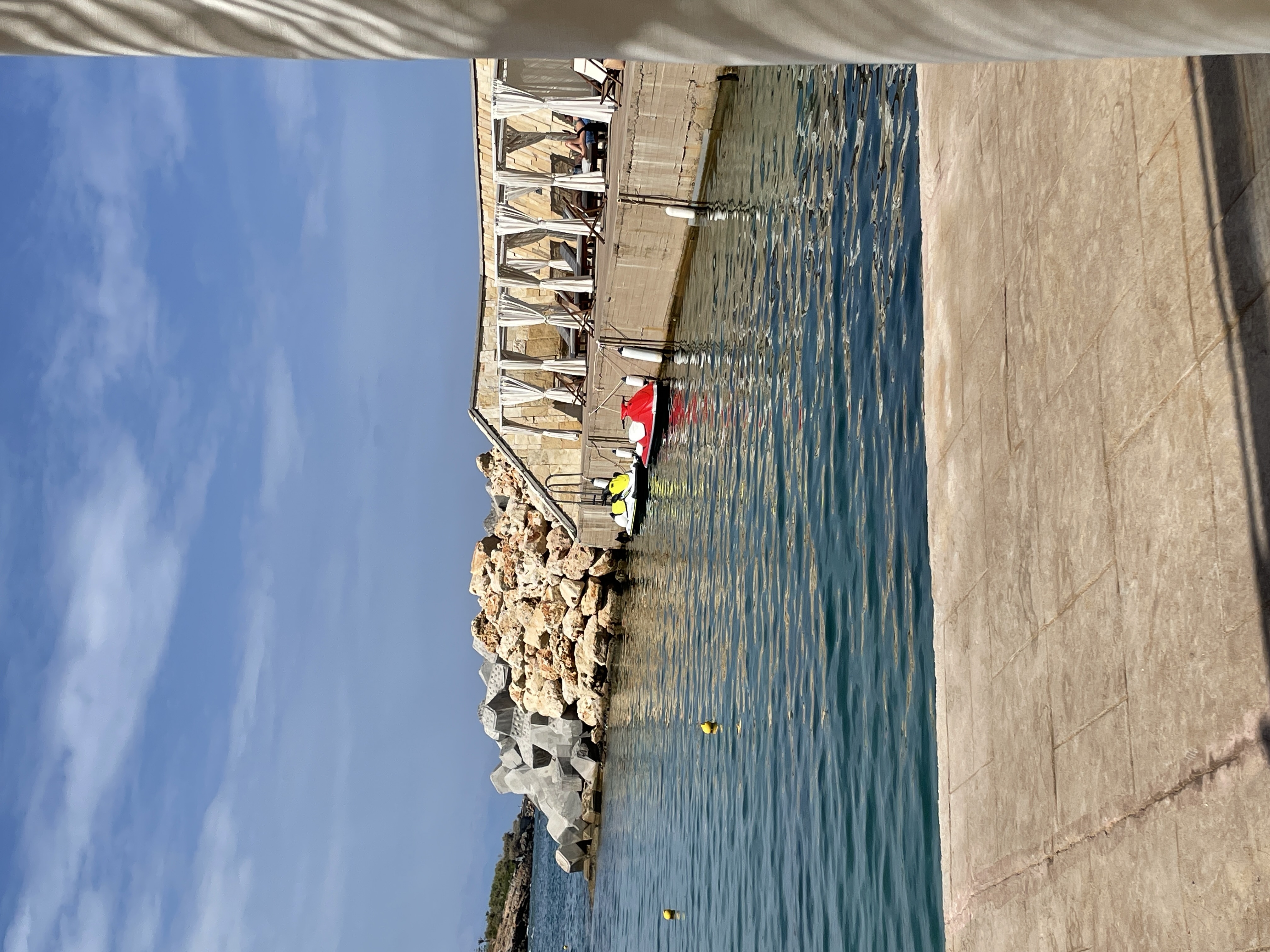 Фото The Royal Blue