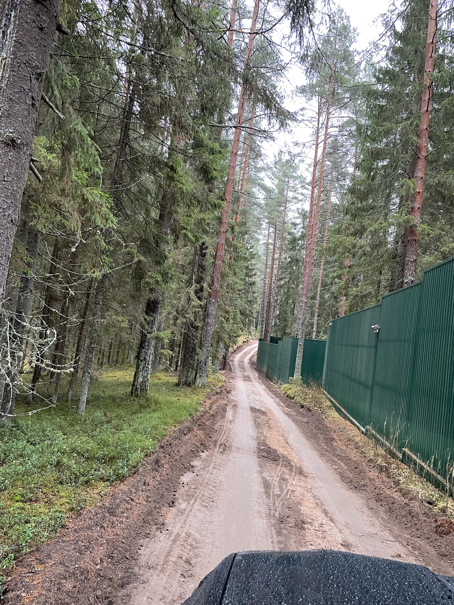 Фото Берендеево царство