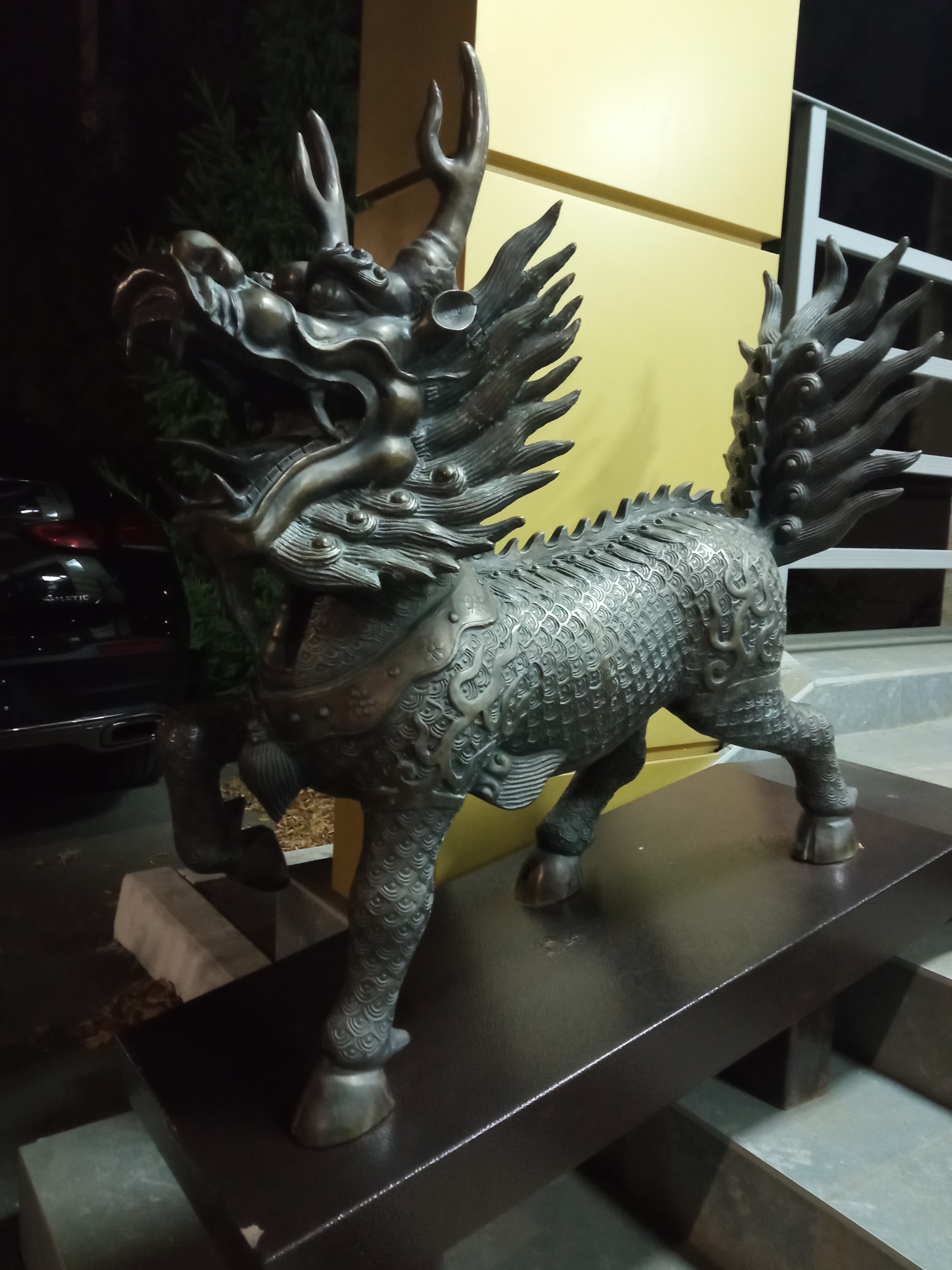 Фото Золотой дракон