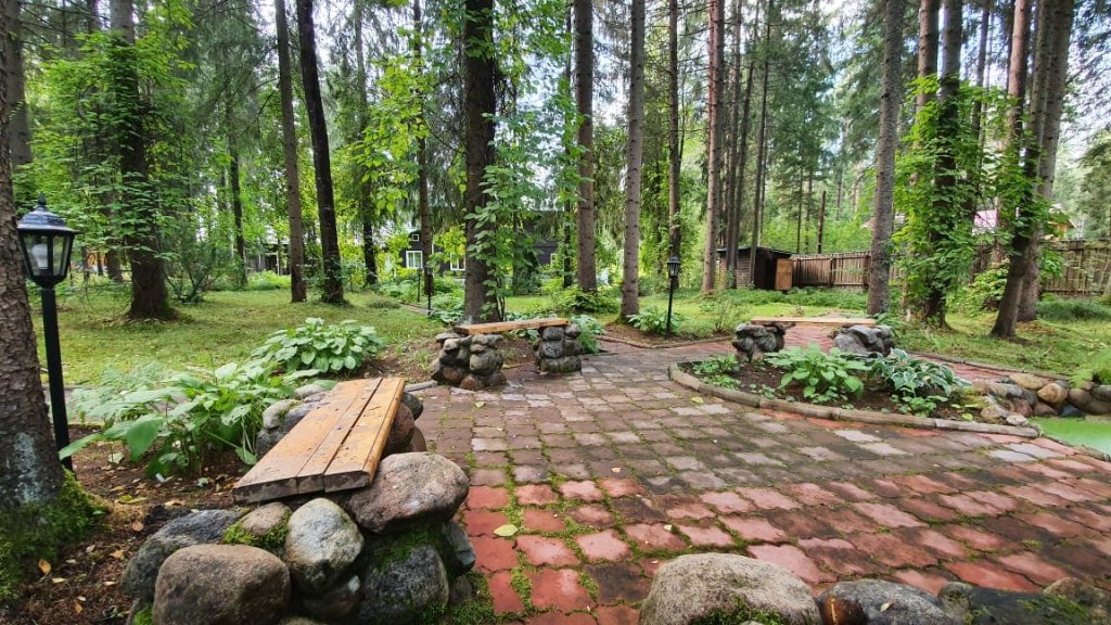 Фото Wish Seliger