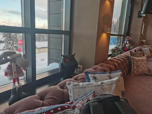 Гостиница Три СовЫ в Кемеровской области (Кузбассе)