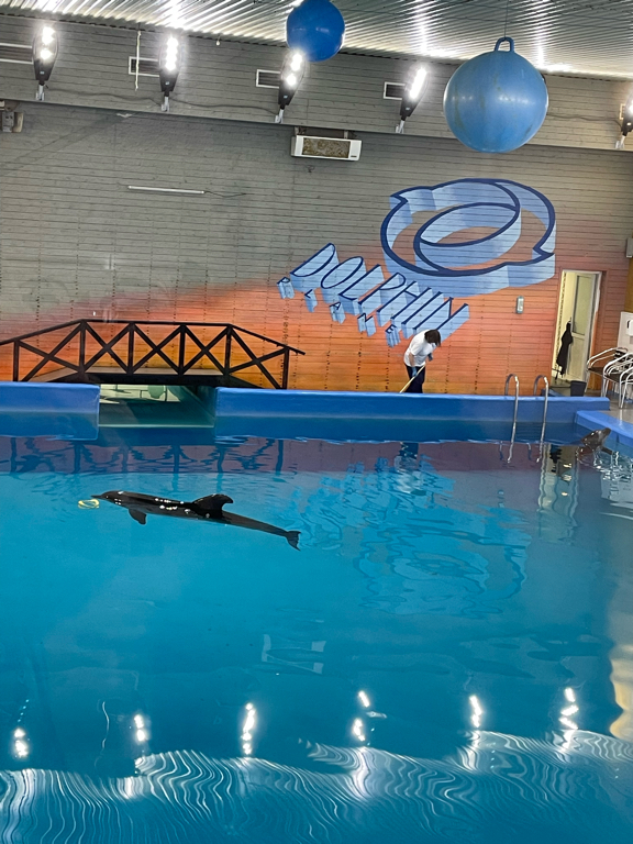 Фото Dolphin Planet Hotel&SPA4