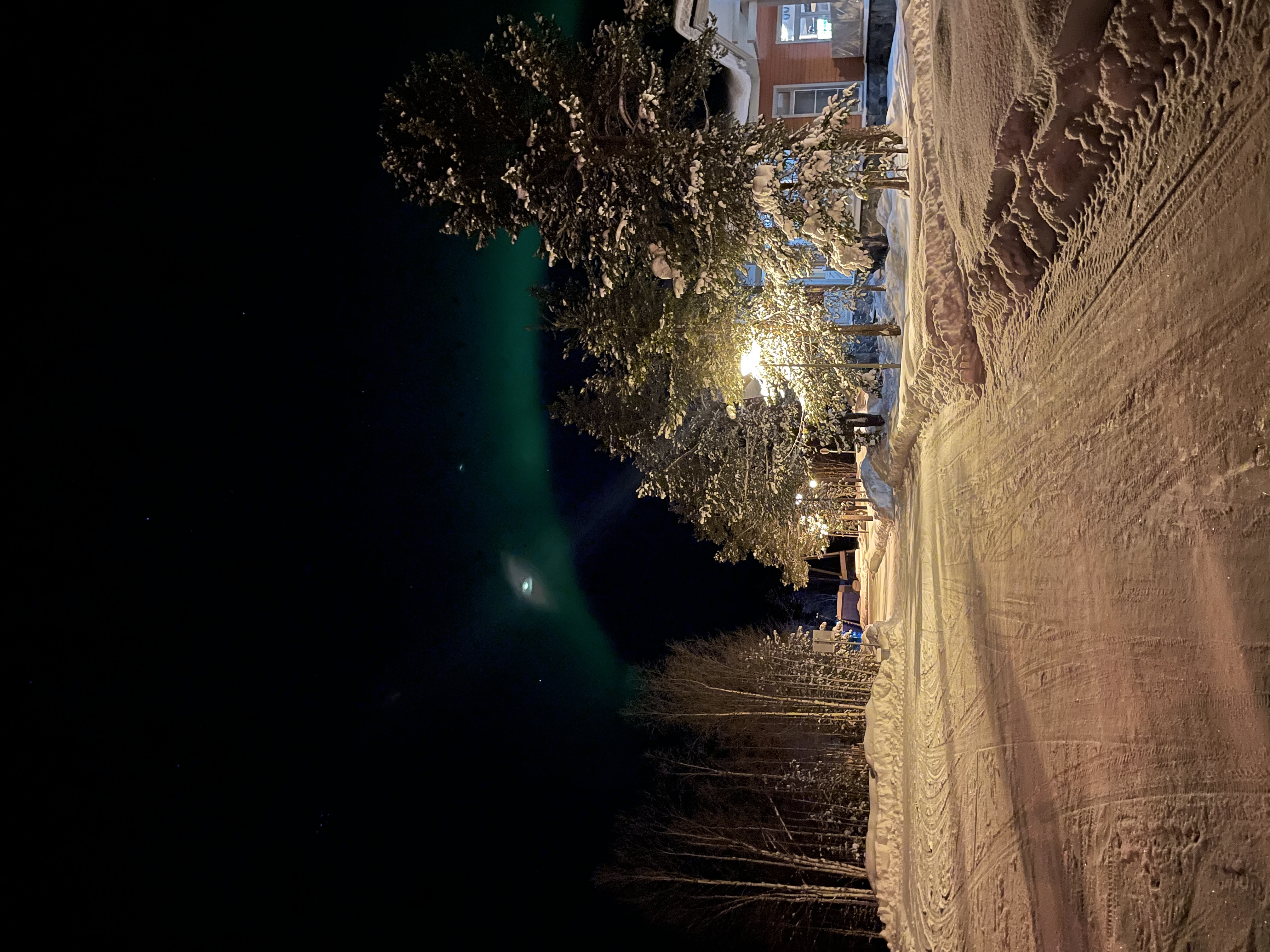 Фото Лесная