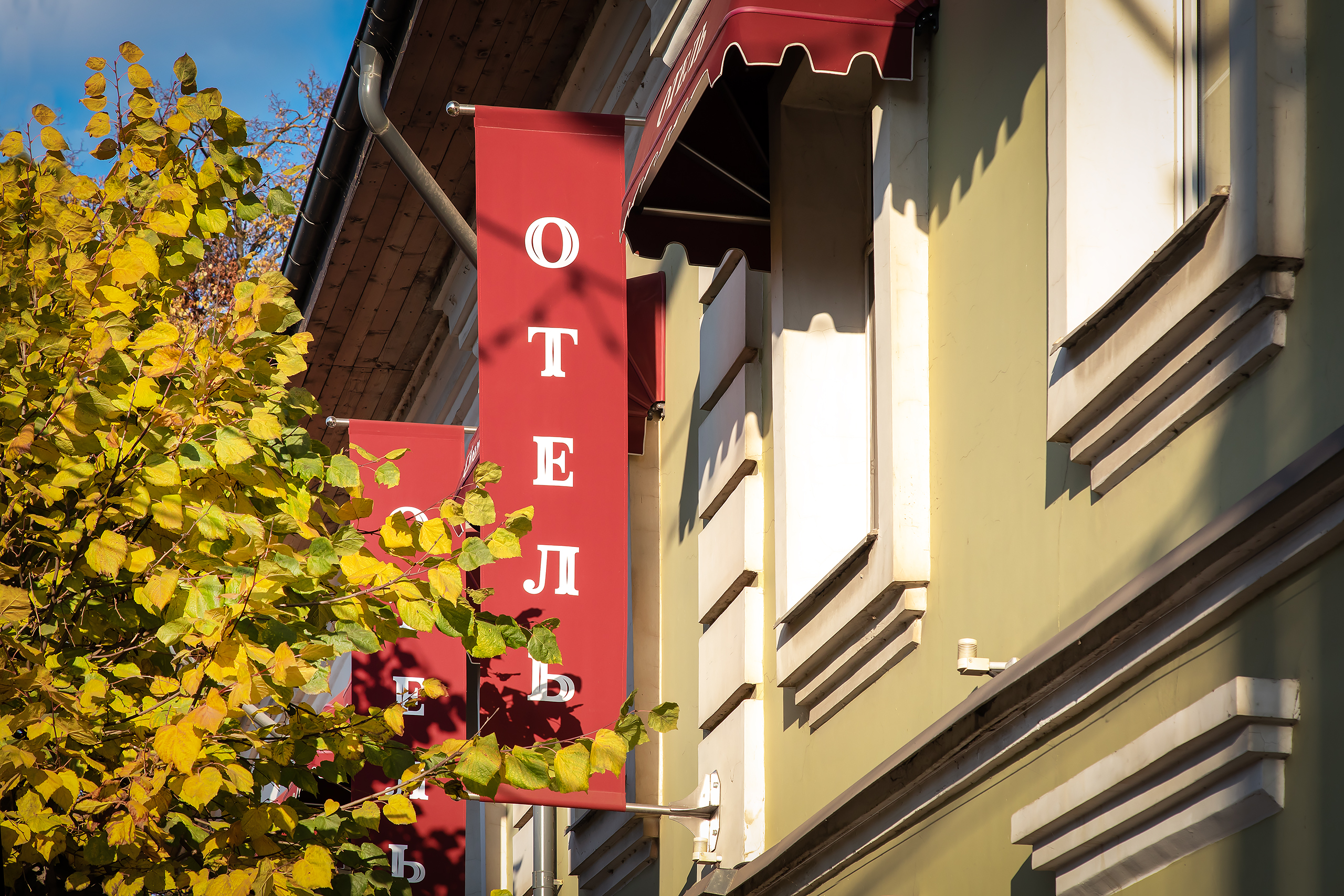 Фото Клевер