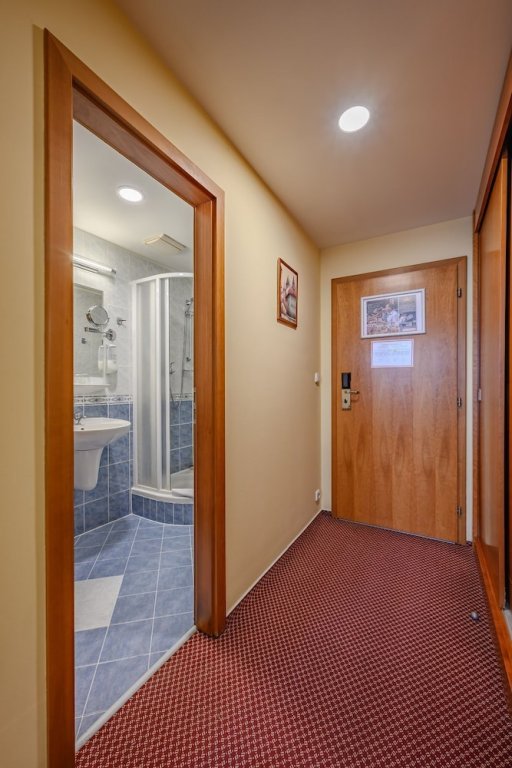 Фото Wellness Hotel Step