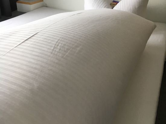 Фото Hotel Löwenguth