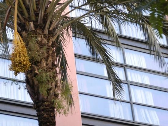 Фото Aparthotel Allada