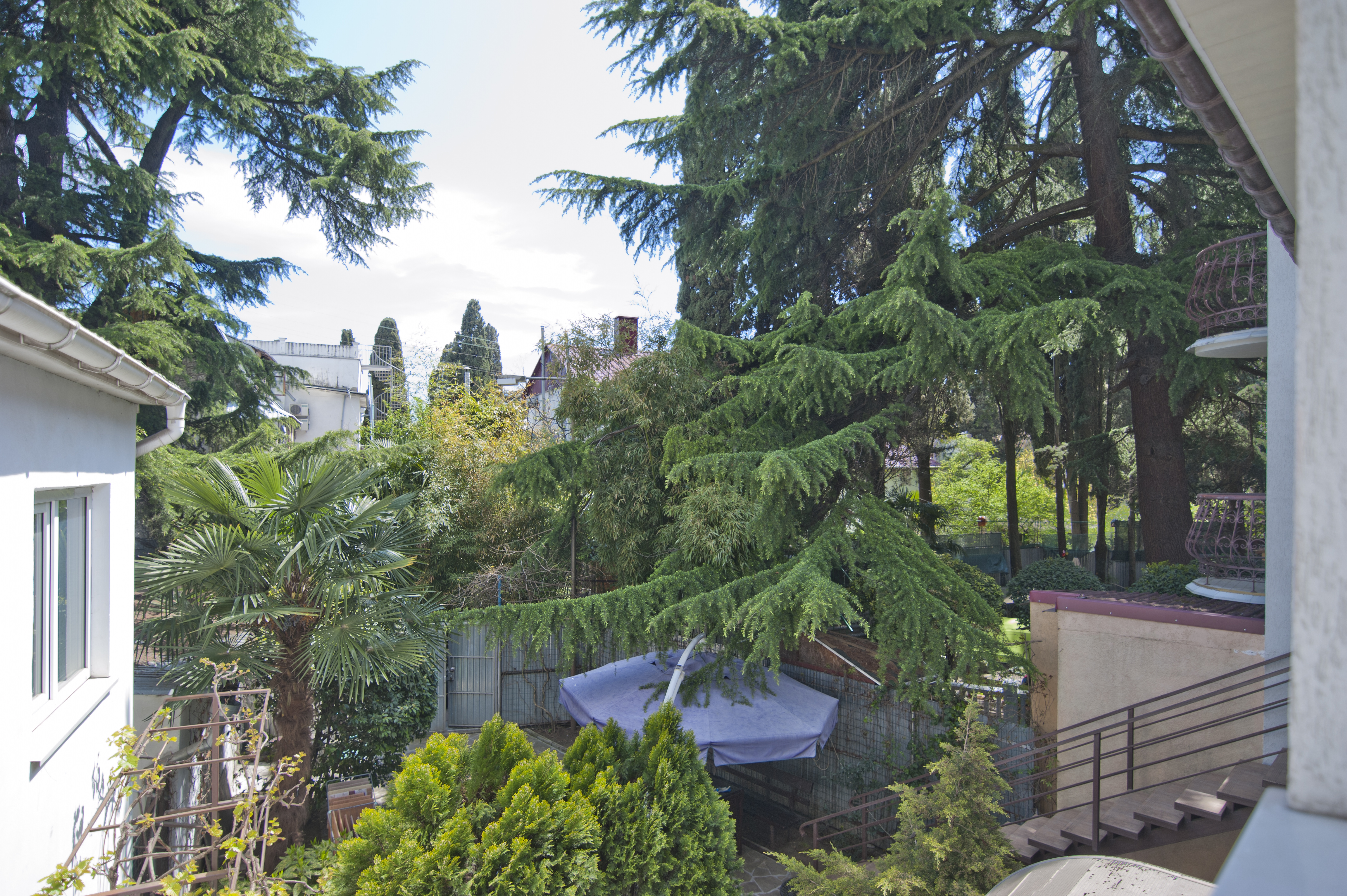 Фото Сердце Ялты