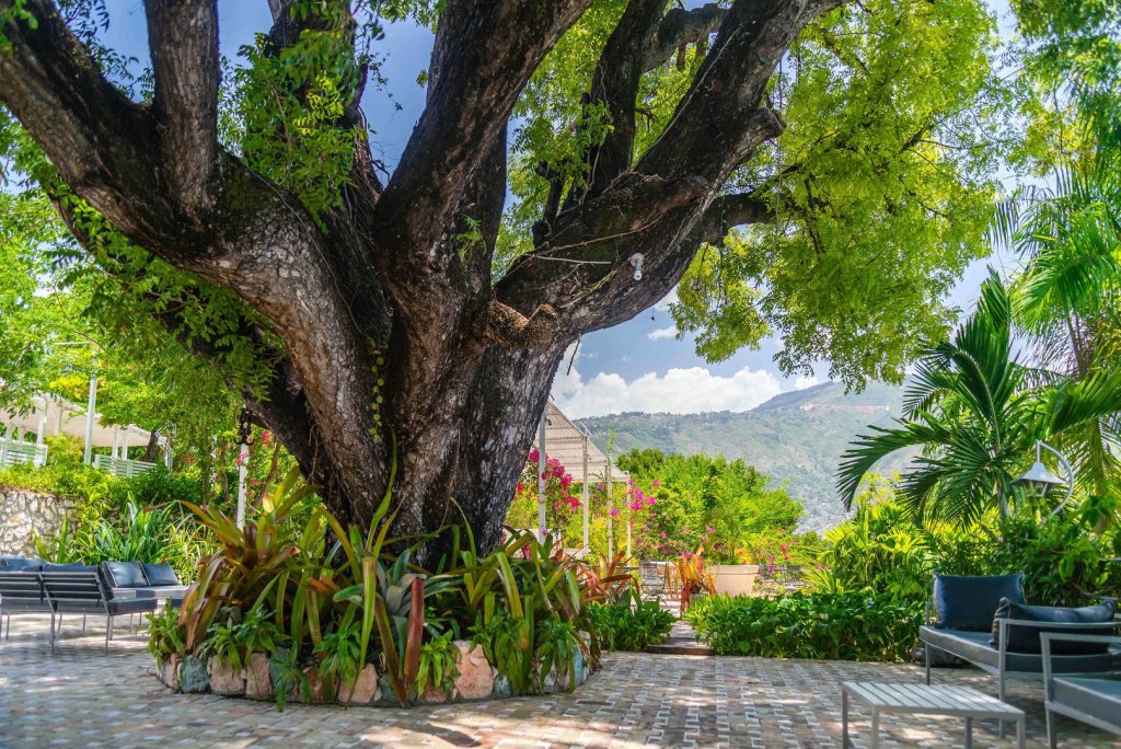 Фото Hotel Montana