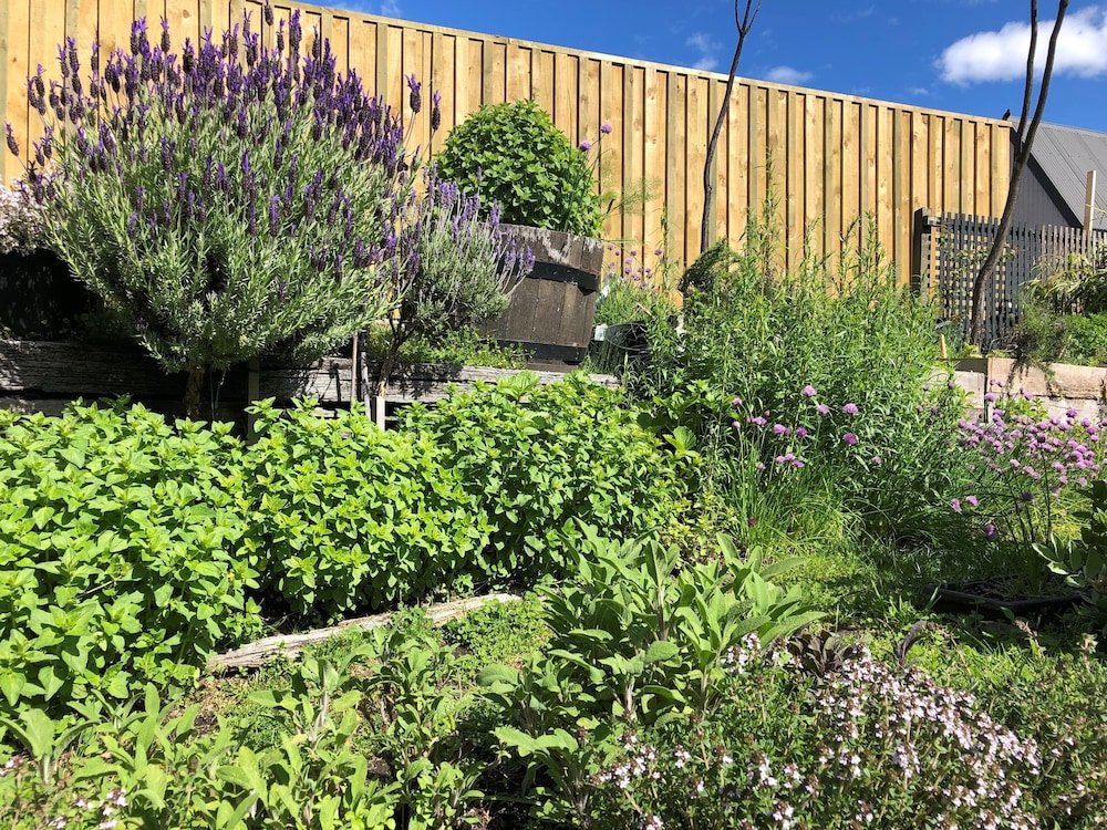 Фото Blue Peaks Lodge Queenstown