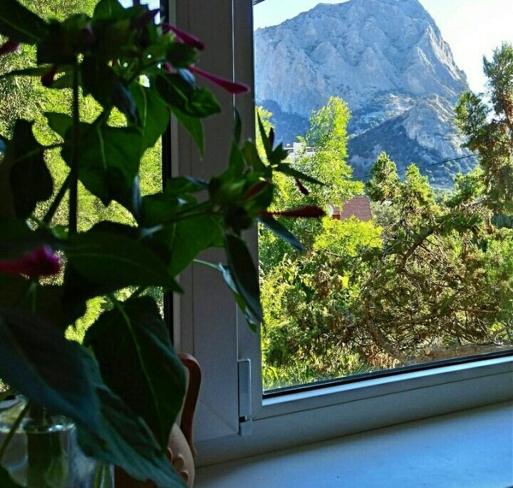 Фото Голицына 19