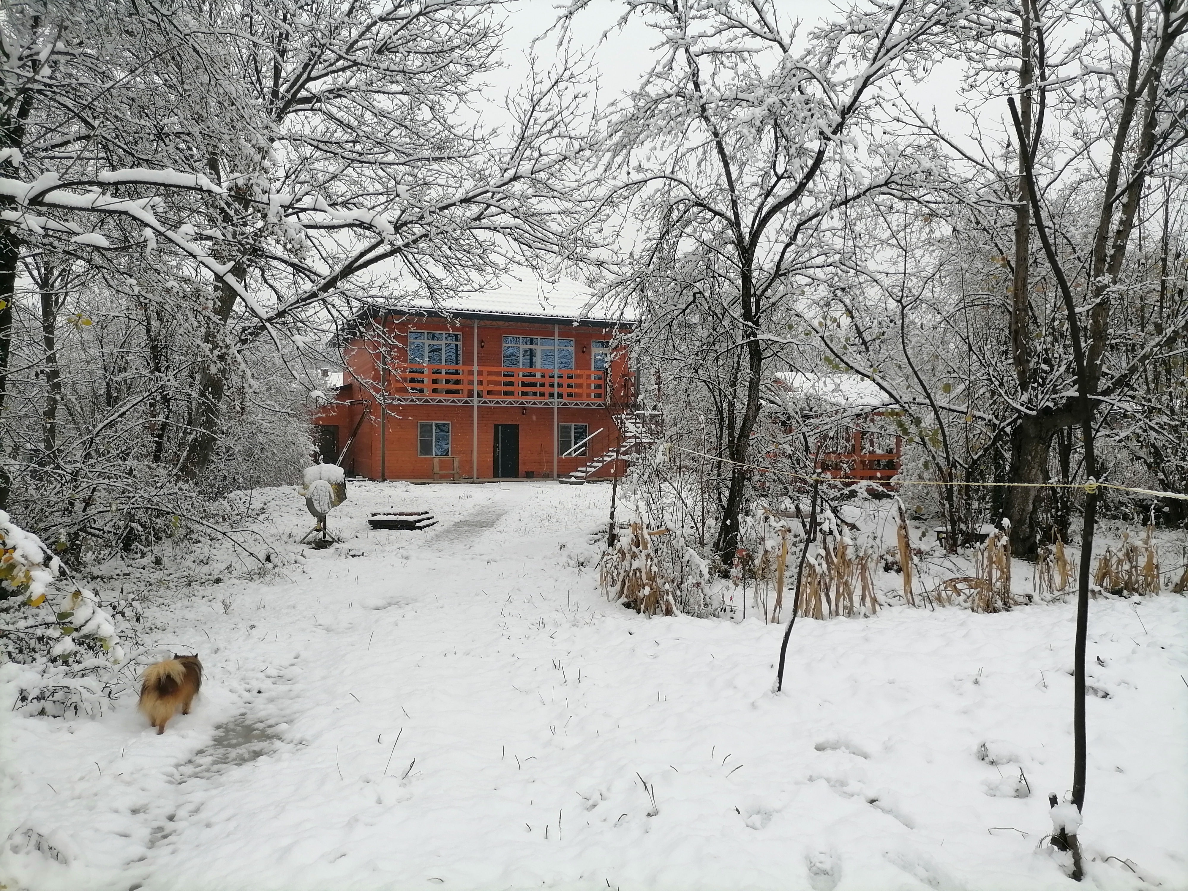 Фото Хижина