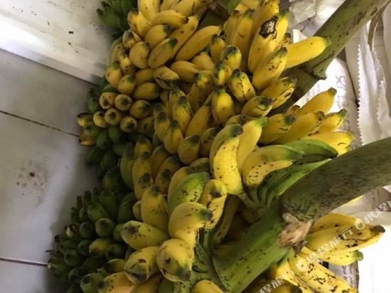 Фото Hotel-Restaurant Adler