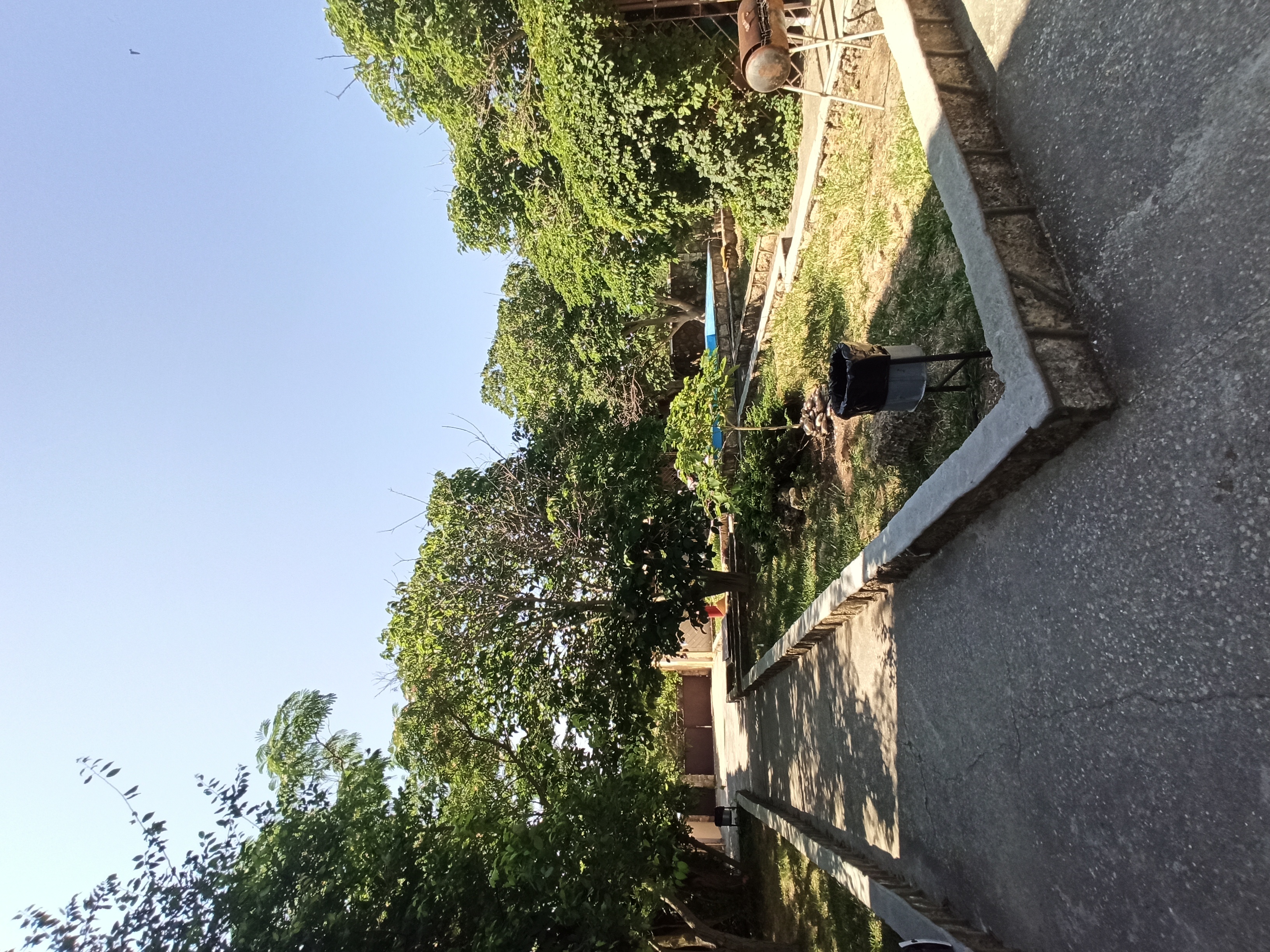 Фото Катран