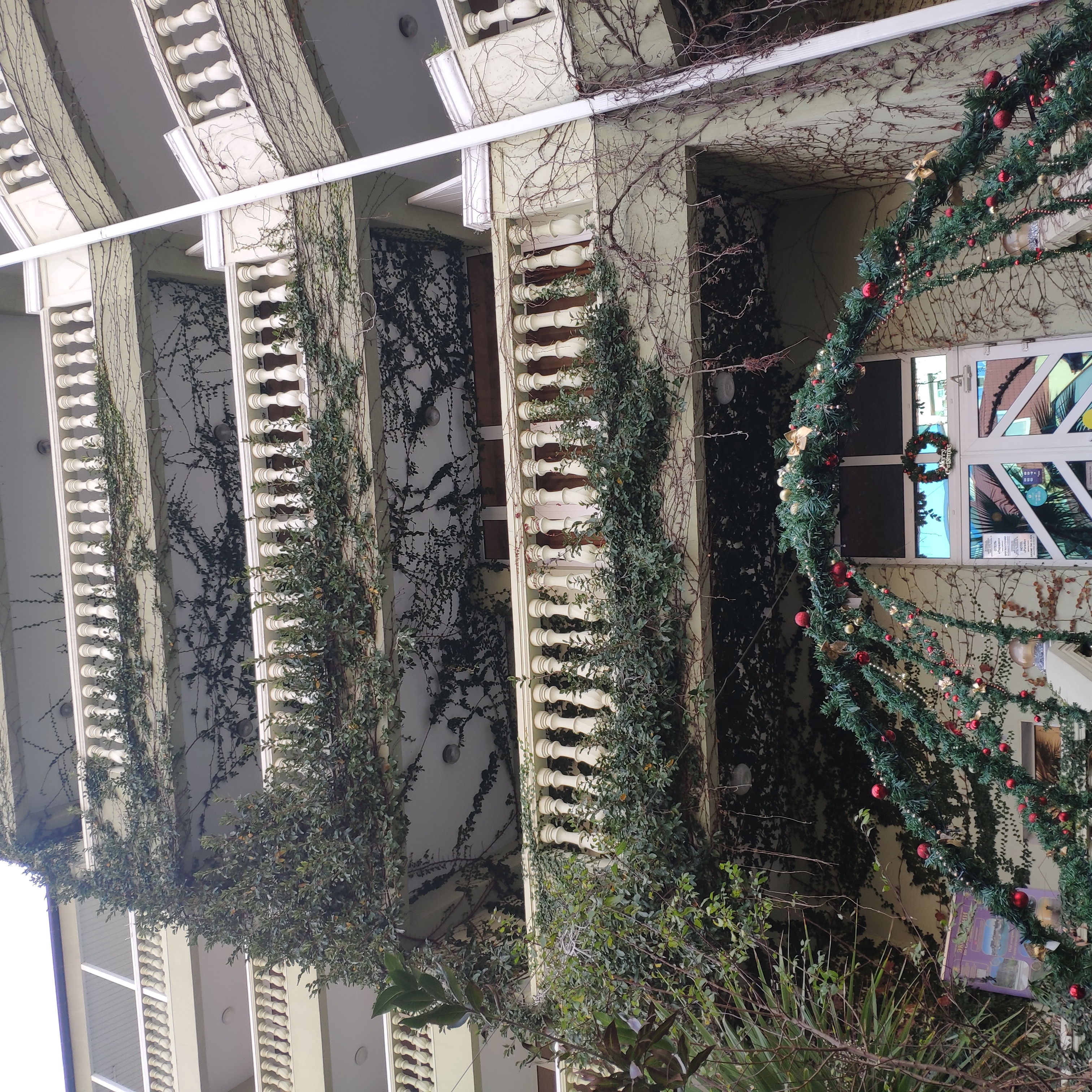 Фото Парадиз