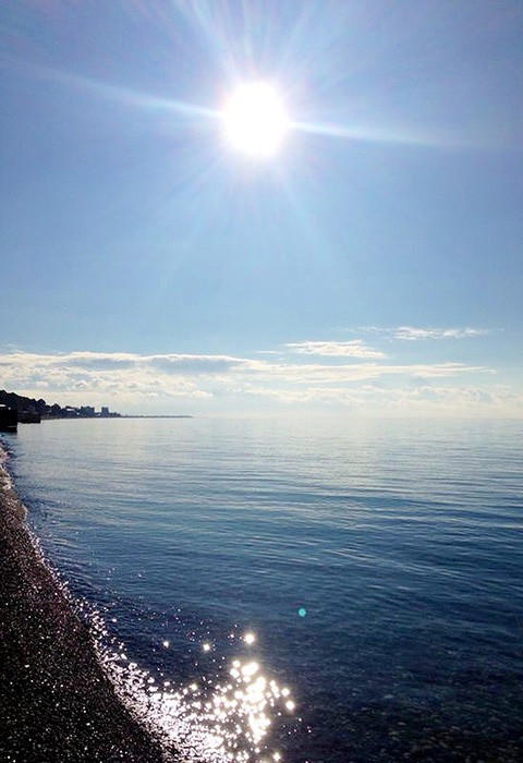 Фото Репруа