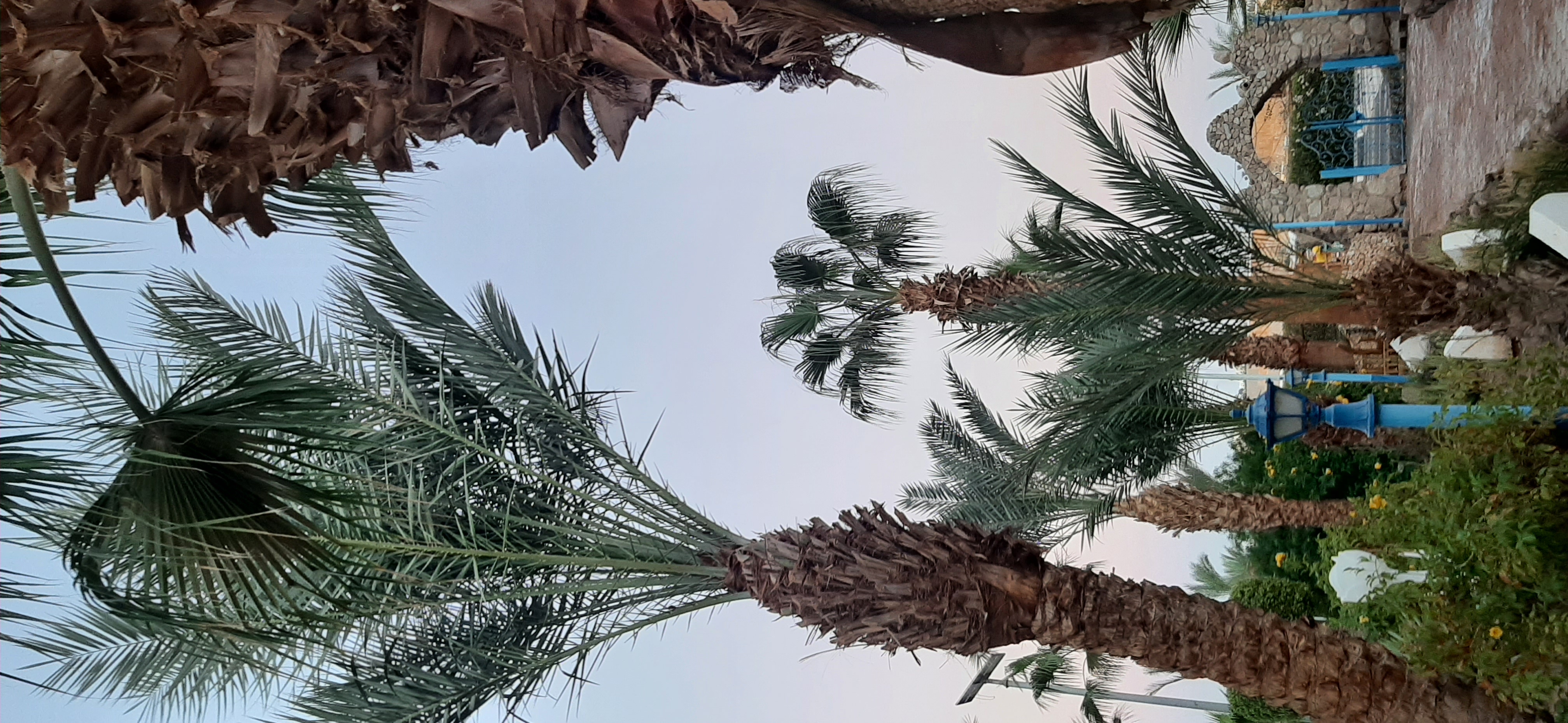 Фото Turquoise Beach Hotel