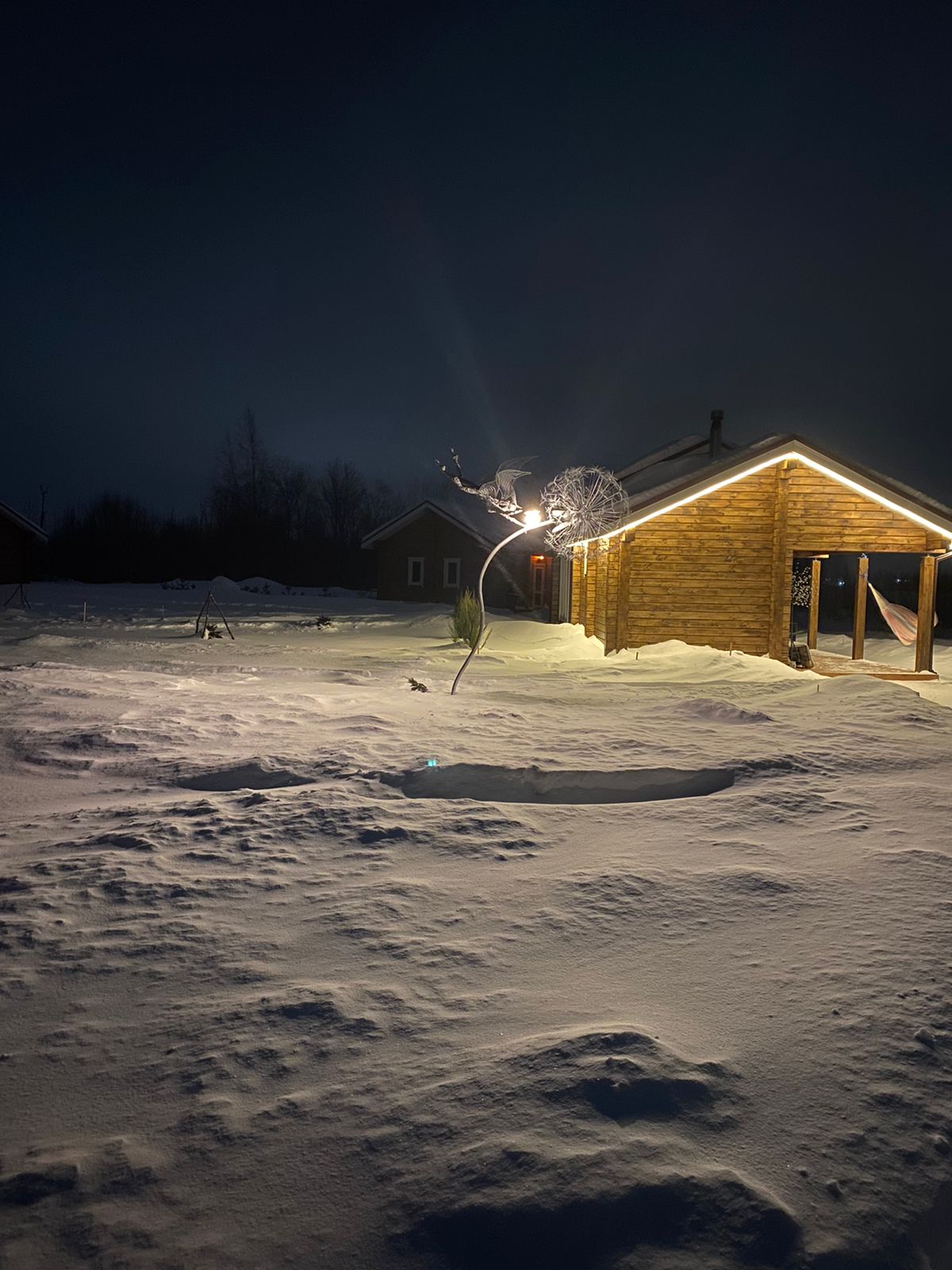 Фото Крокус