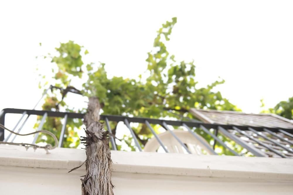 Фото Palazzo Pace