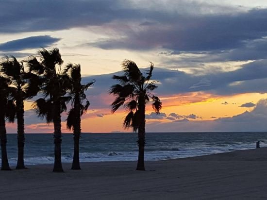 Фото Mandala Apartments