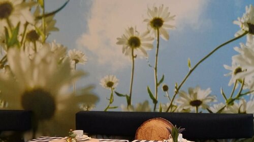 Гостиница Hotel Scholz в Алене