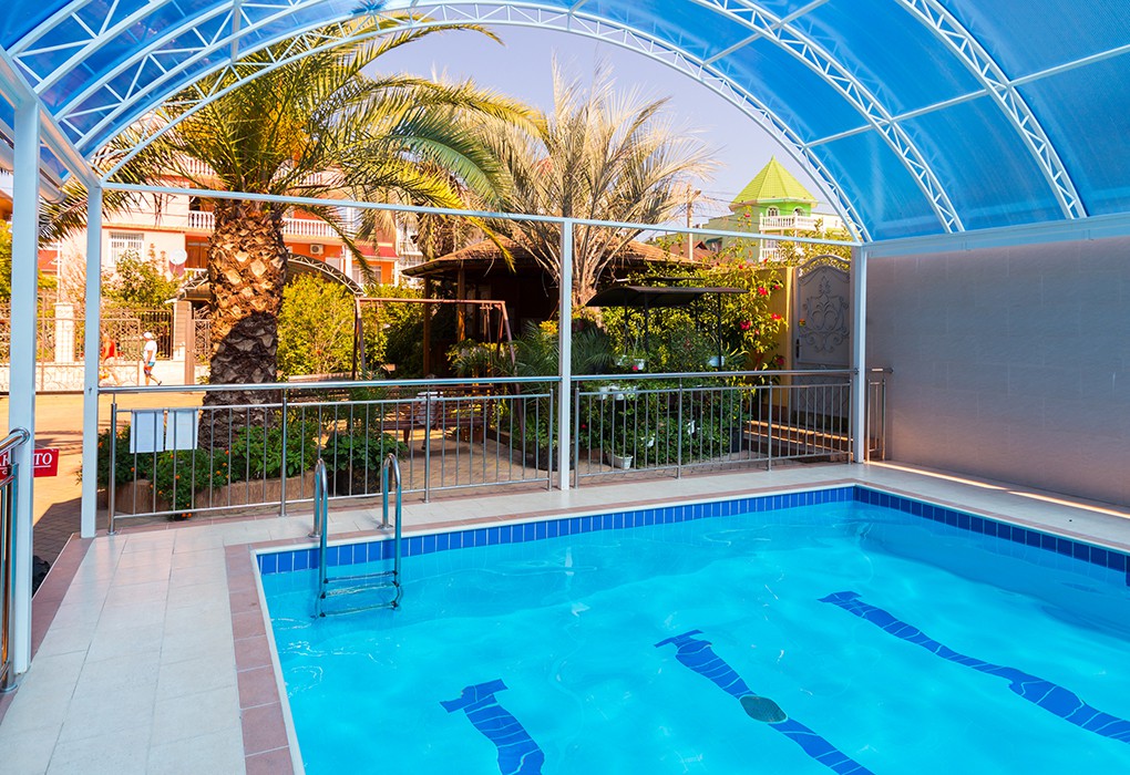 Фото Зелёный попугай