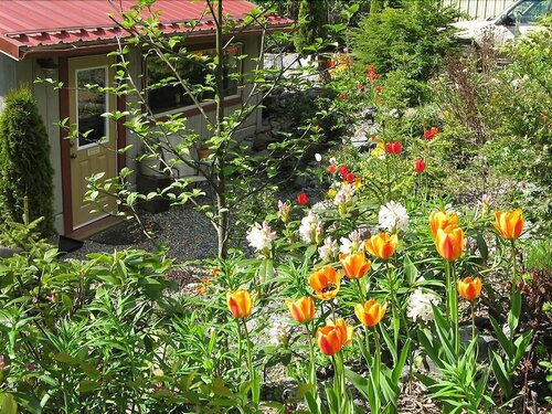 Внешний вид отеля Black Bear Inn в Бороу Кетчикан-Гейтвее, фото 4