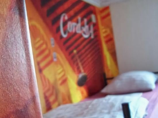 Фото Amsterdam Hostel Sarphati