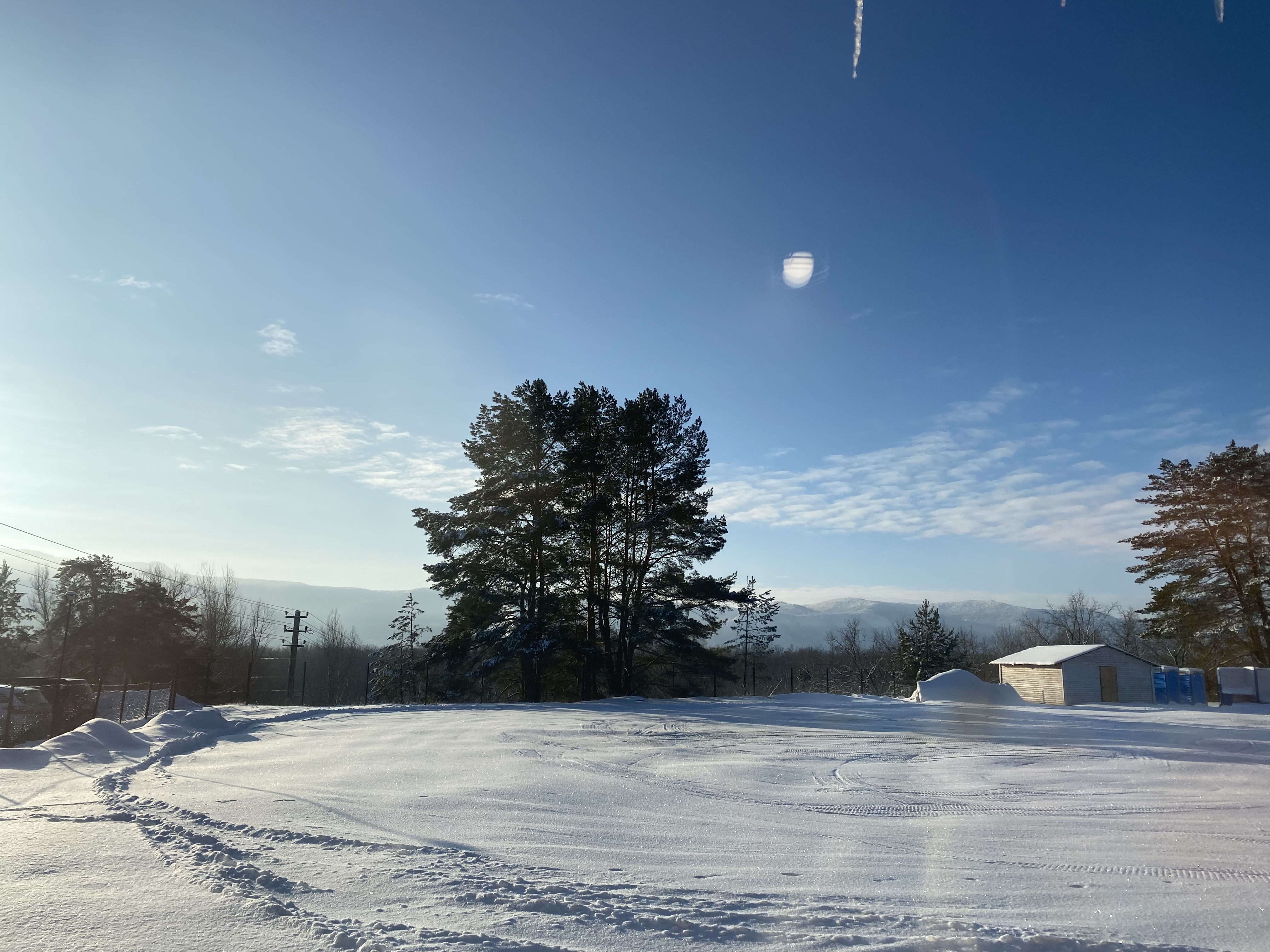 Фото Маламут Ленд