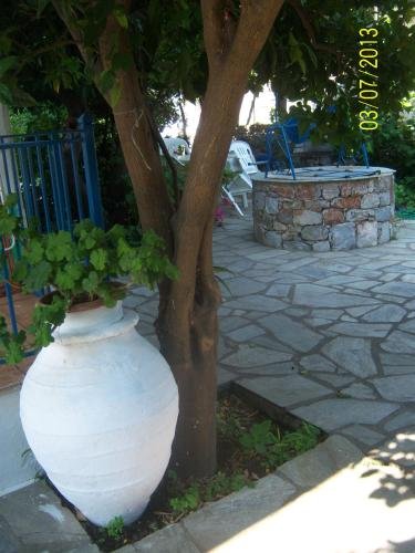 Фото Smile Stella Studios